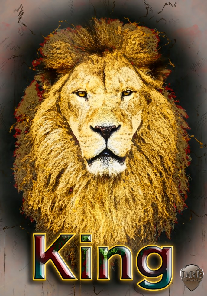 Portrait of huge beautiful male African lion against black backg