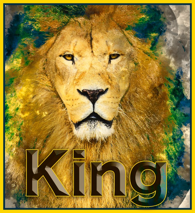 Portrait of huge beautiful male African lion against black backg